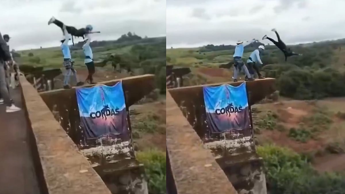 Tragic Scenes! 21-Year-Old Woman Falls 40-Metre To Her Death In Brazil During Adventure Jump Nightmare | Video