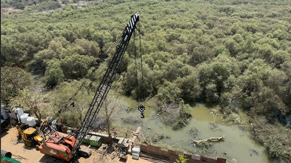 Mumbai: BMC Begins Mangrove Clearing For Coastal Road North, Locals Fear Flooding Risk
