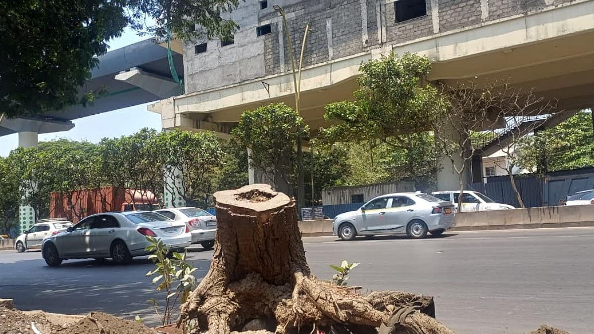 Thane Faces Ecological Crisis As Rapid Urbanisation Drives Green Cover Loss & Urban Heat Island Threat