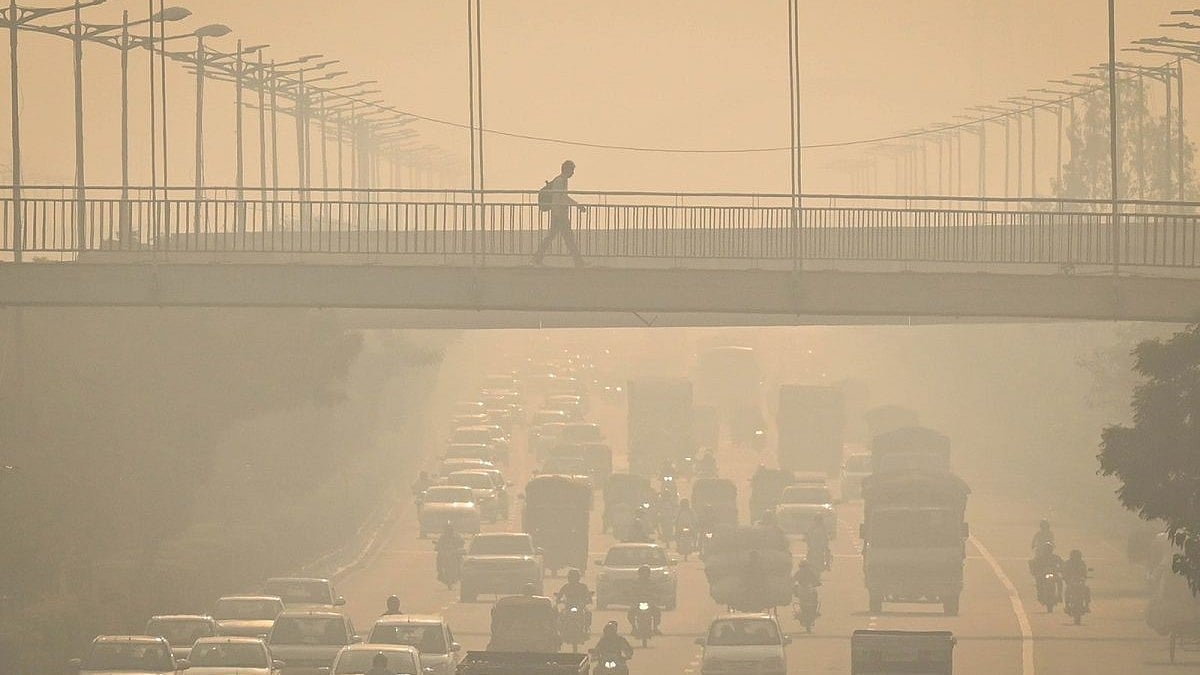 Australian Tourist Ranks This Indian City As Top 5 Worst Places To Visit In The World; 'Pollution Everywhere, Cows On Roads'