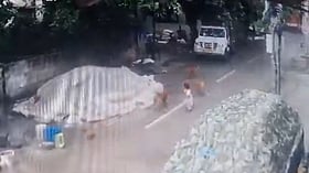 4-year-old girl injured after six stray dogs attack in Bengaluru’s Sahakara Nagar