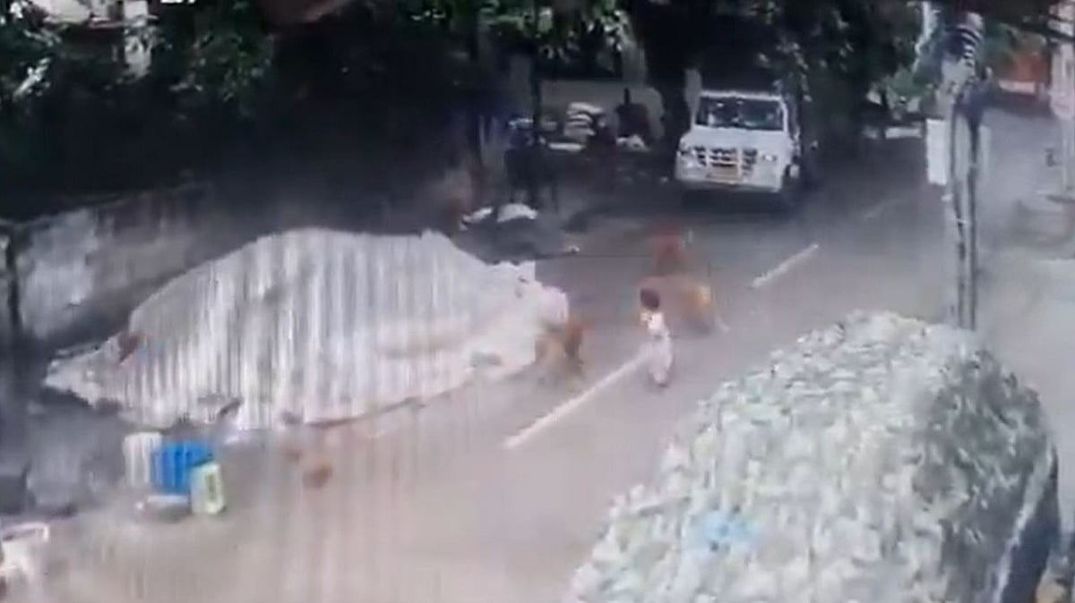 On Camera: Pack Of Stray Dogs Mauls 4-Year-Old Girl In Bengaluru's Sahakara Nagar