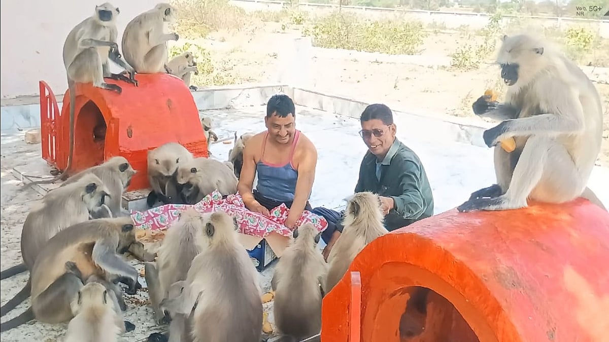Advocate Builds His Own ‘Vanar Sena’, Feeds Monkeys For 8 Years