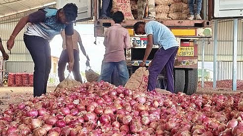 Nashik Onion Exporters Face Crores In Losses As Shipping Delays Disrupt Overseas Trade