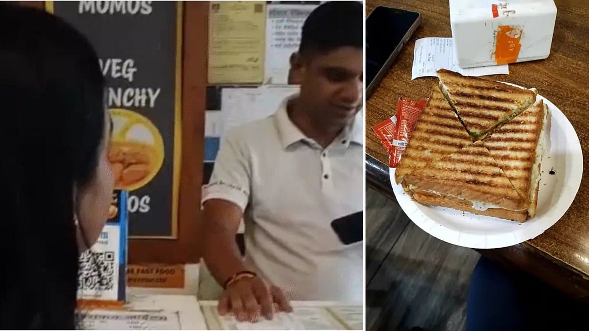 Dead Fly In ₹219 Sandwich? Bhopal Customer Seeks Action Against Restaurant