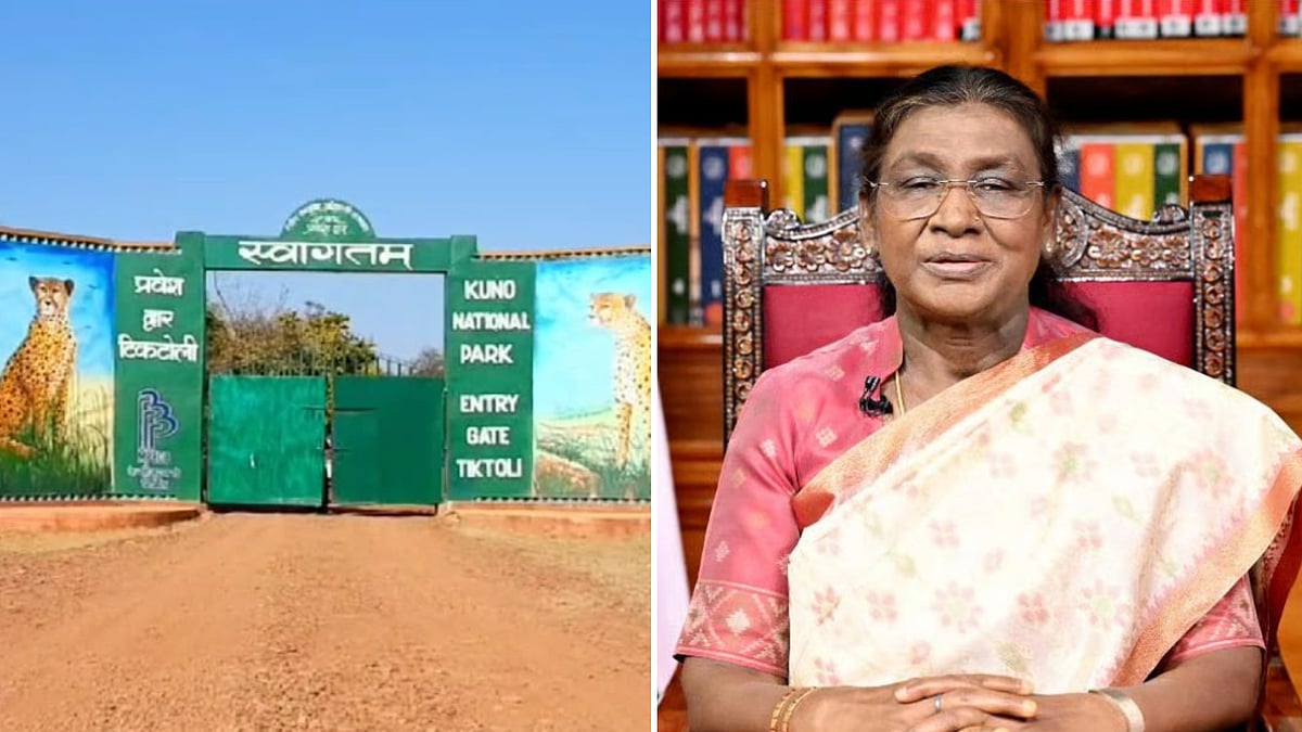 President Droupadi Murmu On MP Tour From June 18 To 22; Botswana Cheetahs May Be Released Into Wild During Kuno Visit