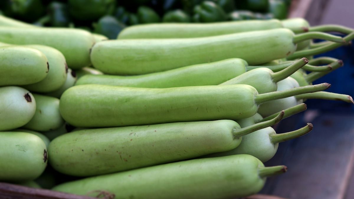 Bottle Gourd Benefits: How Ayurveda Praises Lauki For Wellness