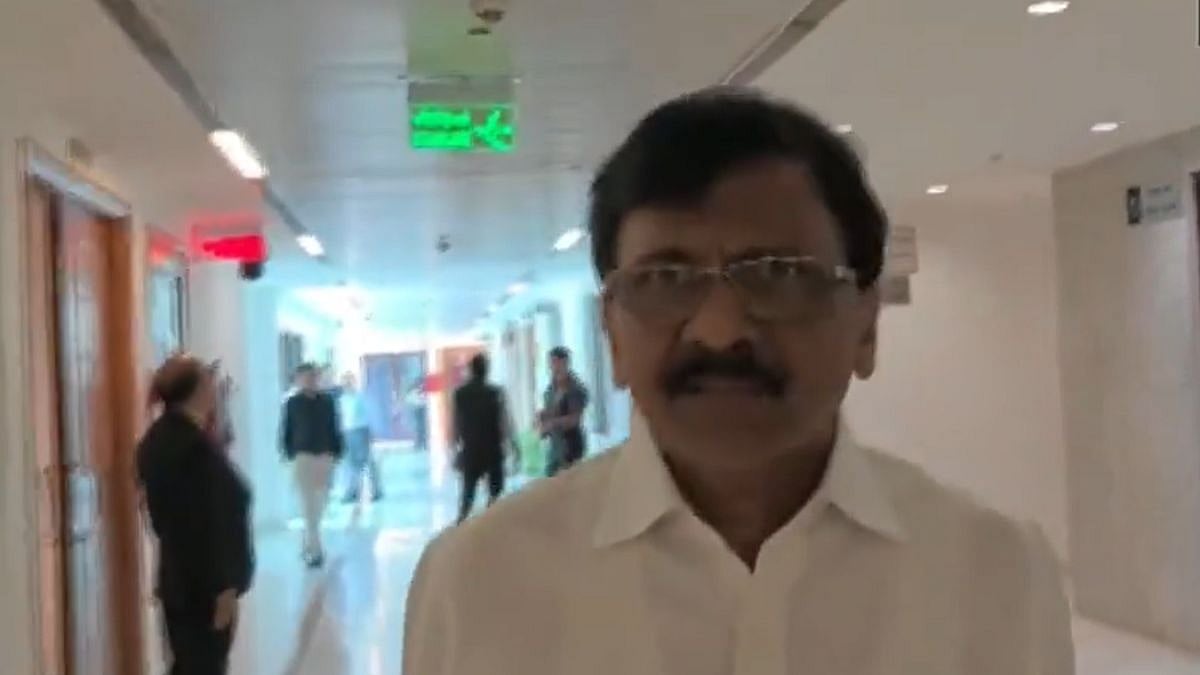 'Will You Shower Flower Petals': Sanjay Raut Defends His Abusive Remarks Against Rebel Party MPs - Video