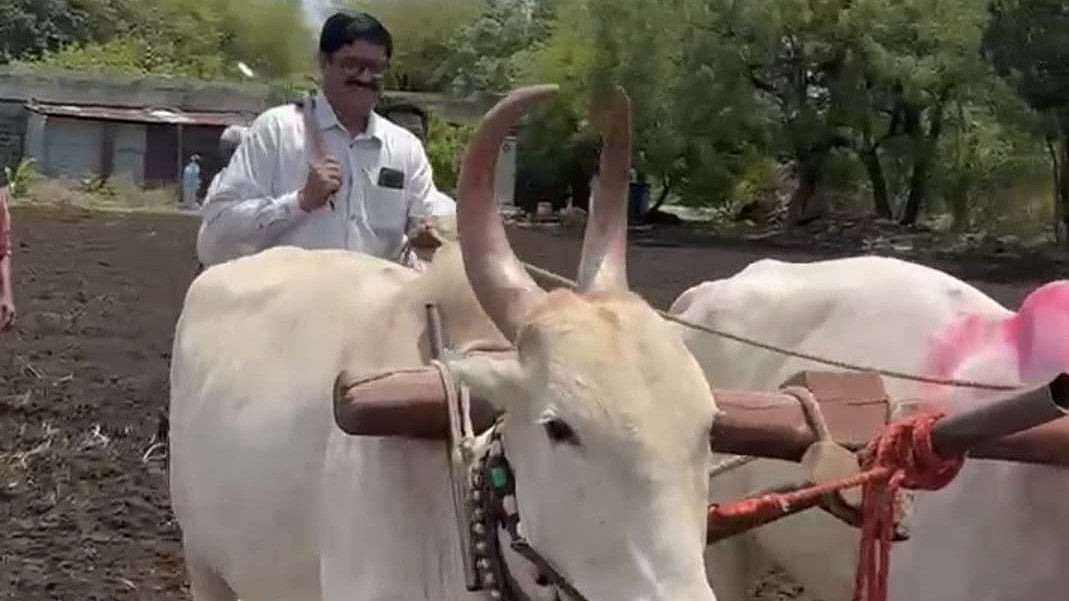 Beed Tehsildar Urges Farmers To Delay Kharif Sowing Until Adequate Rainfall