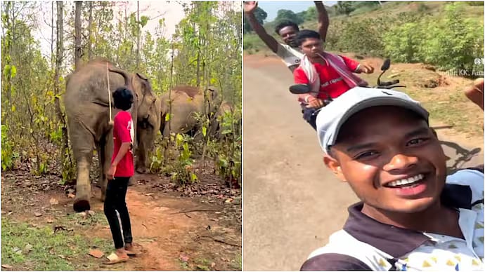 'This Isn't Entertainment': Odisha Youths Seen Poking, Harassing Elephants & Filming It For Content - VIDEO