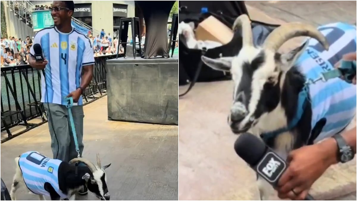 FIFA World Cup 2026: NFL Star Jameis Winston Brings GOAT Wearing Lionel Messi Jersey To Argentina Vs Algeria Clash | VIDEO