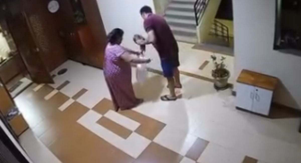 Caught On Cam: Navi Mumbai Man Puts Society Cat Into Polythene Bag, Takes Away; Complaint Filed In Kharghar