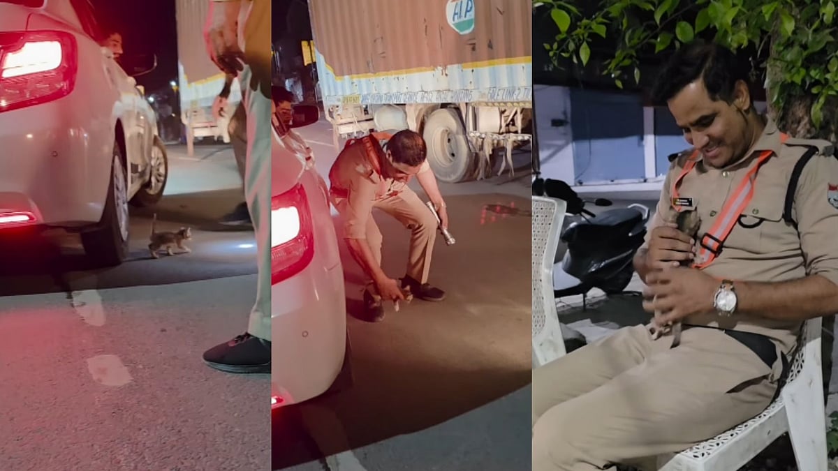 'Har Police Wala Aisa Ho': Uttarakhand Cop Saves Kitten Trapped Under Parked Car, Comforts It With Food Later - WATCH