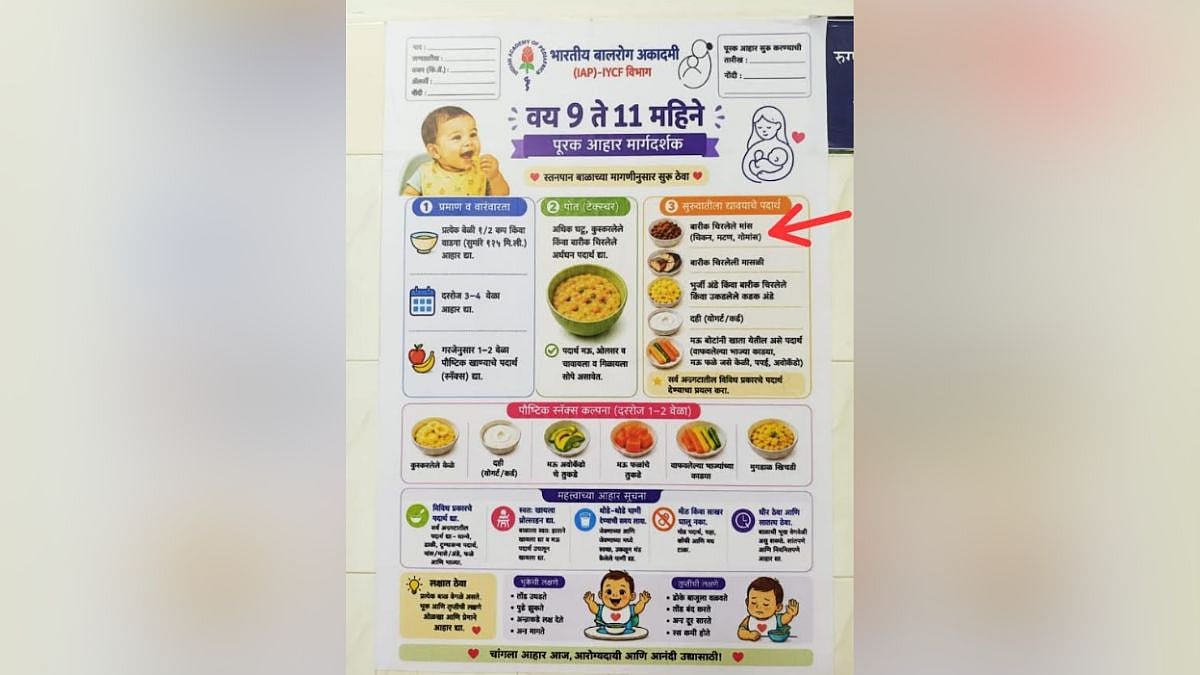 Navi Mumbai Nutrition Pamphlet Row: Translation Blunder Sparks Controversy, Pediatrician Transferred