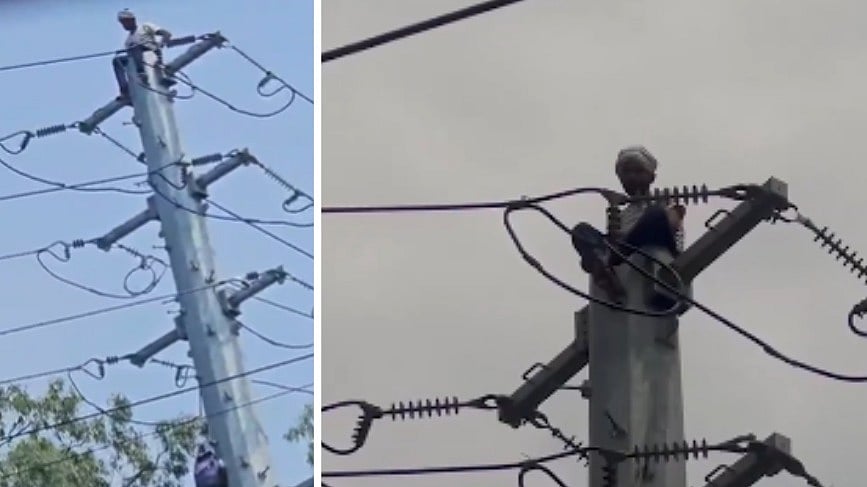 Youth Climbs Electric Pole In Bhopal's MP Nagar, Rescue Operation Draws Huge Crowd-- VIDEO