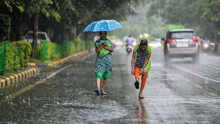 Inadequate Rainfall Raises Farmers' Concerns Across Marathwada