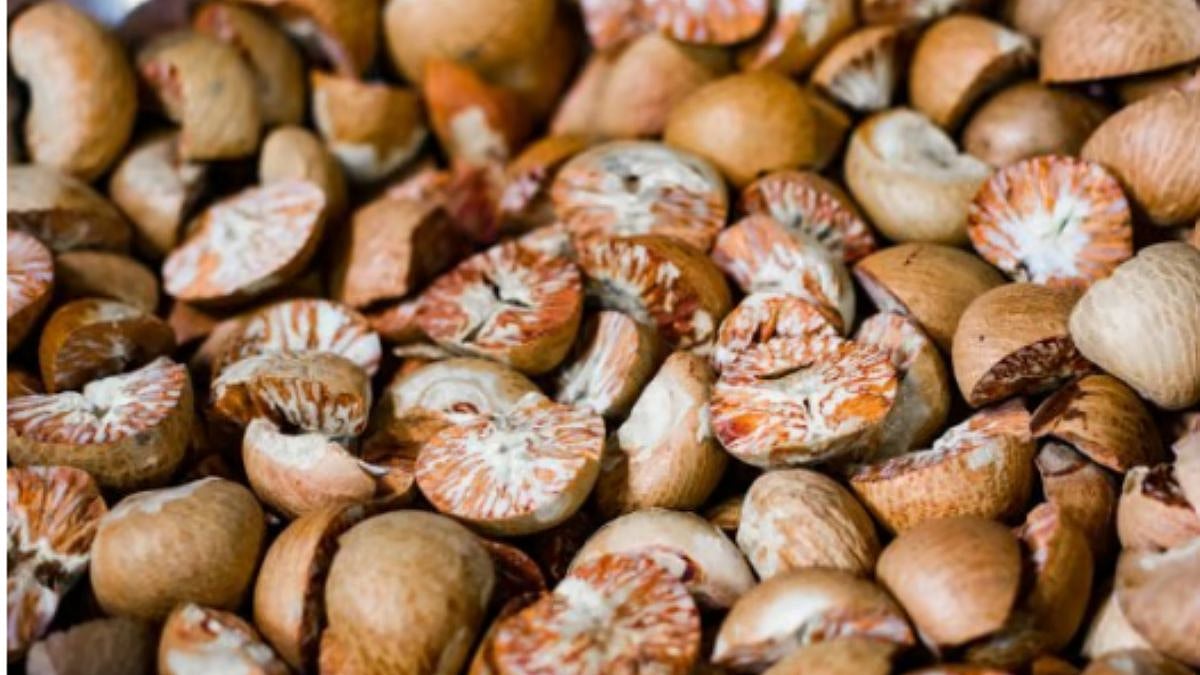 More Than A Seed: Why Supari Remains A Powerful Symbol In Indian Culture