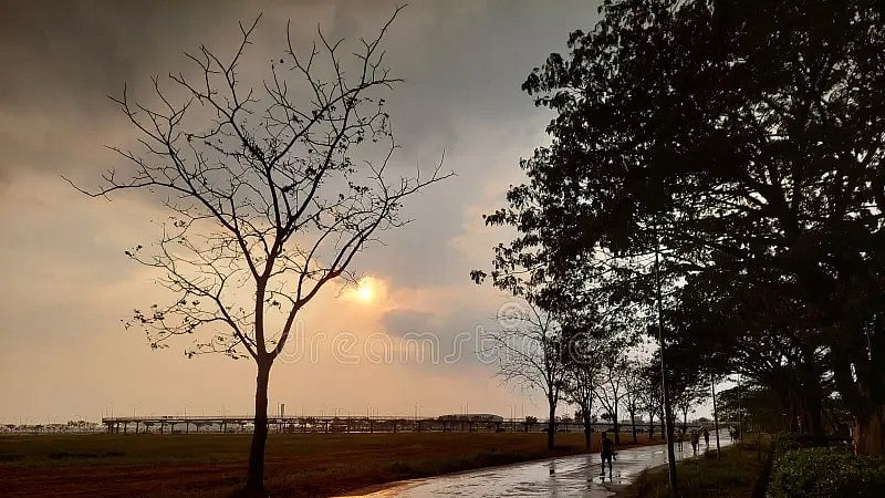 Madhya Pradesh June 19, 2026, Weather Update: State Faces 39% Rain Deficit Ahead Of Monsoon; Over 20 Districts See Sharp Shortfall