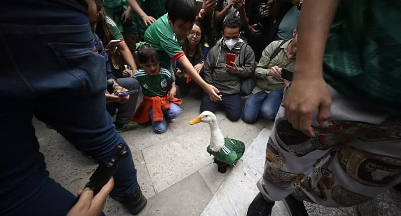 Merlin The Duck Goes Viral At FIFA World Cup 2026, Internet Calls Him Mexico’s World Cup Mascot - WATCH