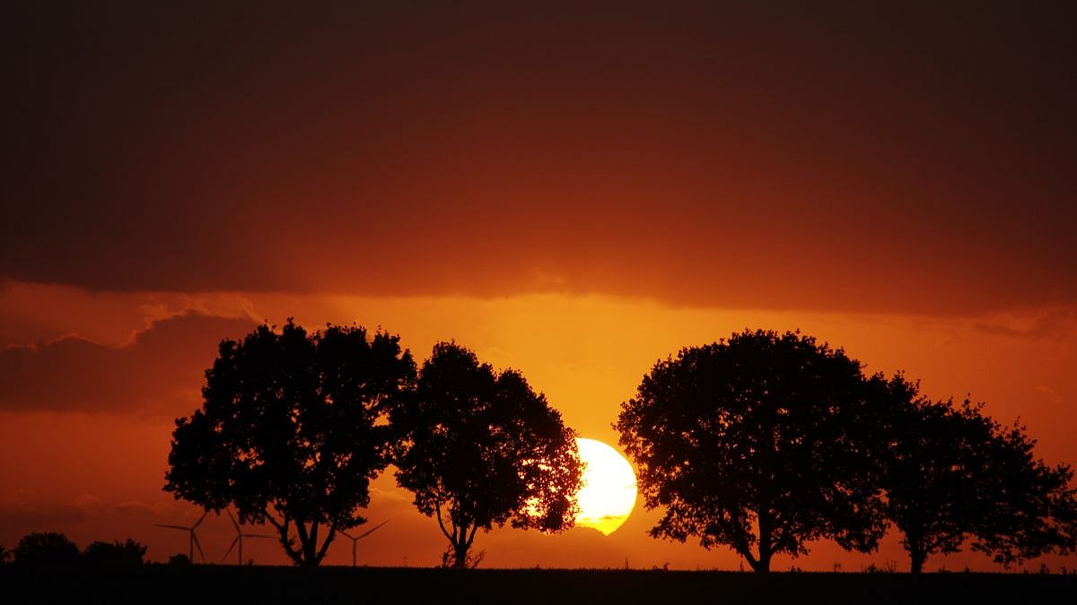 When Is The Longest Day Of 2026: Know Exact Date, Significance And Science Behind Summer Solstice