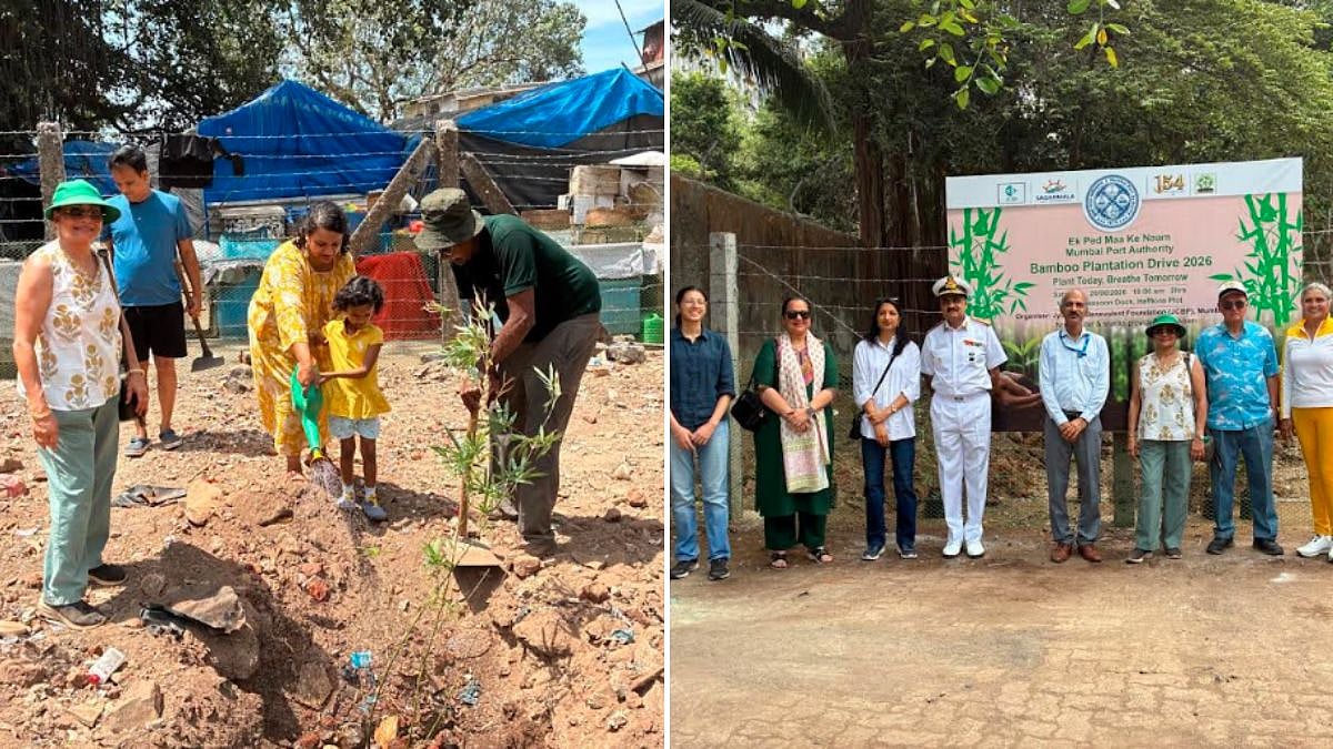 Mumbai's Historic Sassoon Dock Transforms From Dumping Ground Into Lush Bamboo And Bougainvillea Garden