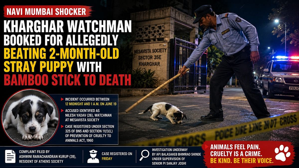 Navi Mumbai Shocker: 26-Year-Old Kharghar Watchman Booked For Allegedly Beating 2-Month-Old Stray Puppy To Death With Bamboo Stick