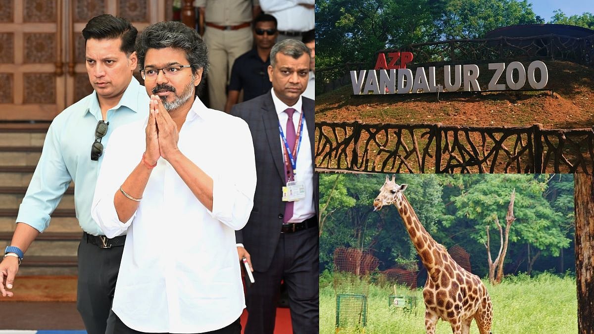 Chief Minister Vijay’s 52nd Birthday Celebrations: Tamil Nadu Announces Free Entry To The Three Major Zoos In The State 
