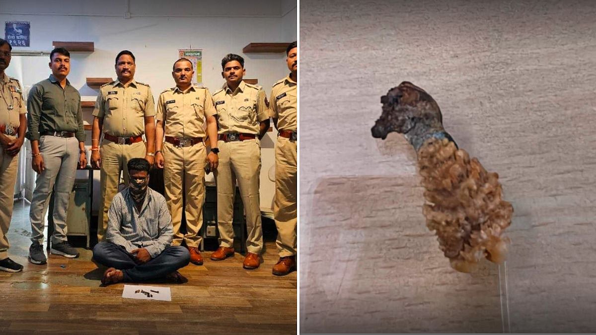 Pune Forest Department Nabs Wildlife Smuggler With Monitor Lizard Pair At Railway Station