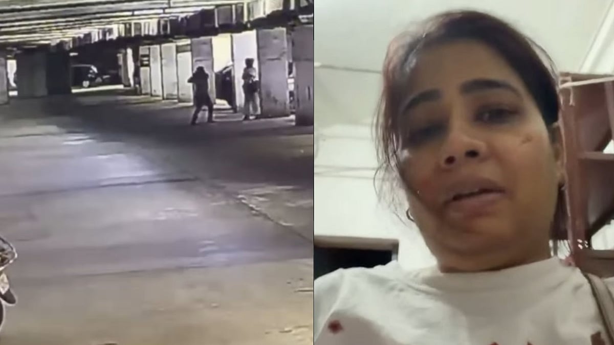 'Mujhe Dando Se Maara Hai': Noida Woman Alleges Society Couple Brutally Assualted Her For Feeding Strays - VIDEO 