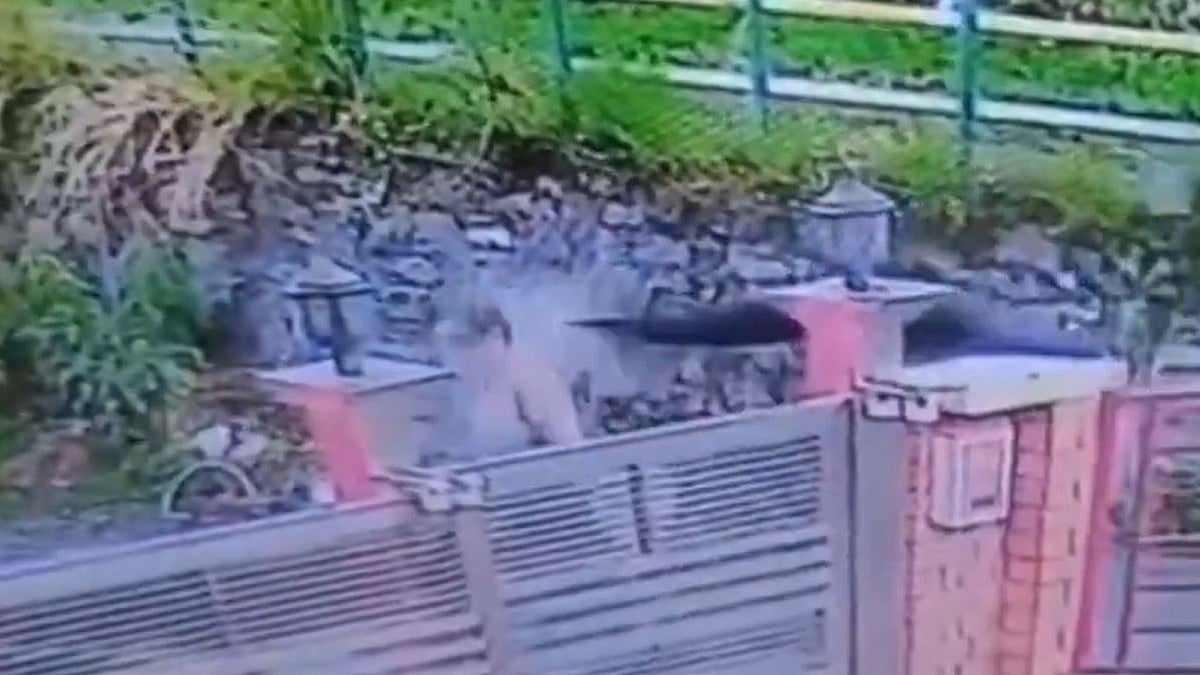Chilling Video Captures Execution-Style Murder Of Shimla Educator Manisha Mittal