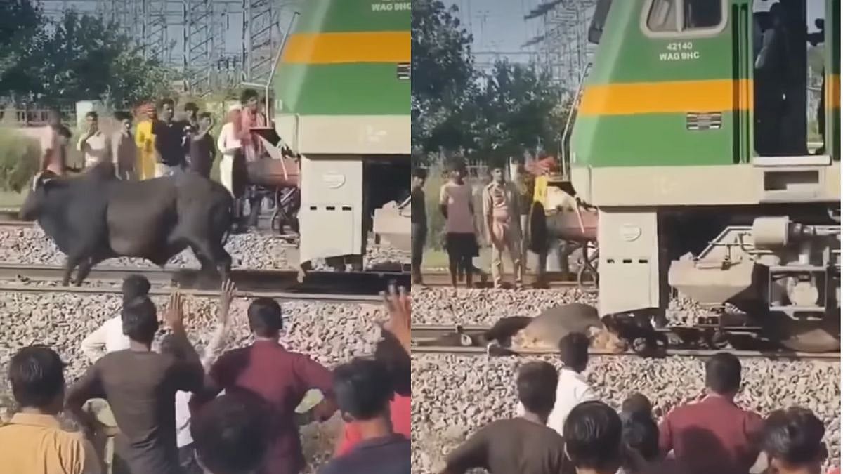 Viral Video Shows Loco Pilot Saving Bull Stuck On Railway Tracks; Internet Praises Railway Staff