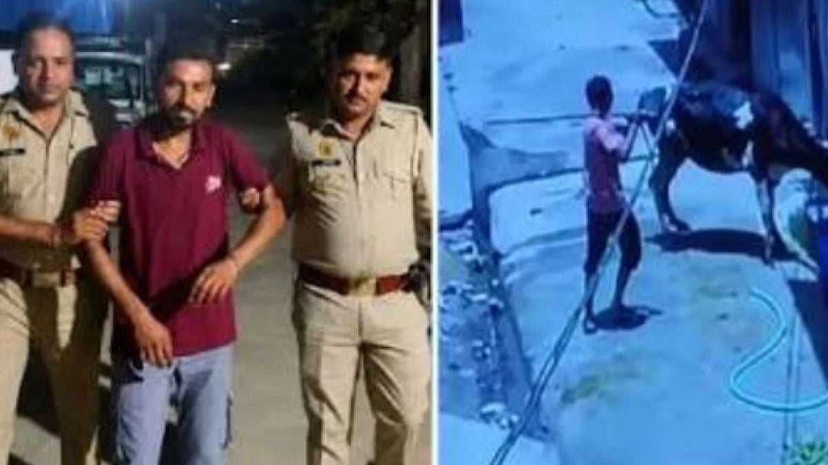 UP Man Brutally Assaults Cow In Baghpat, Arrested After Video Goes Viral