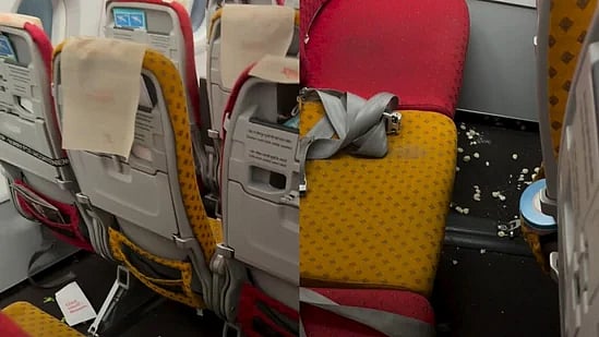 'Flight Landed, Manners Never Boarded': Air India Flight Attendant Calls Out Passengers For Leaving Aircraft Littered - WATCH 