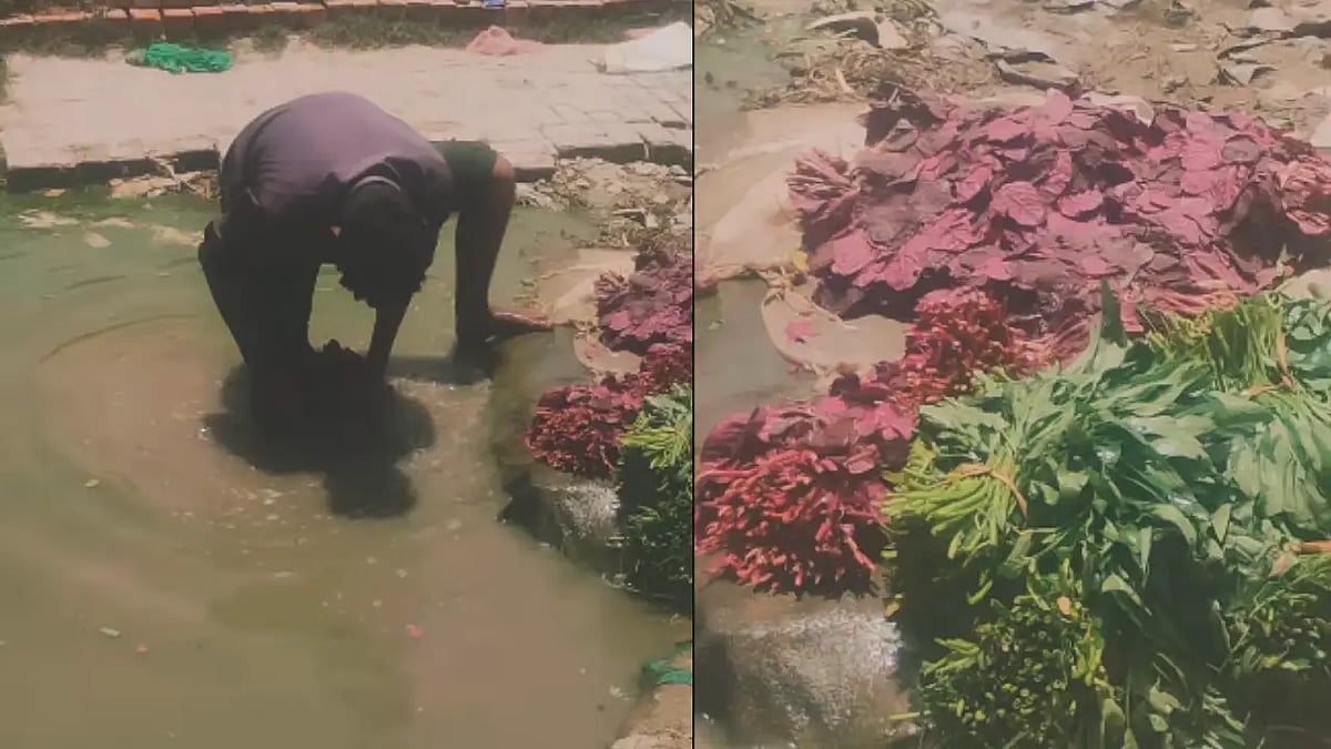 'Noida Walo, Ye Tumhara Nutrition Hai': Viral Video Allegedly Showing Vegetables Washed In Muddy Pond Sparks Food Safety Concerns  