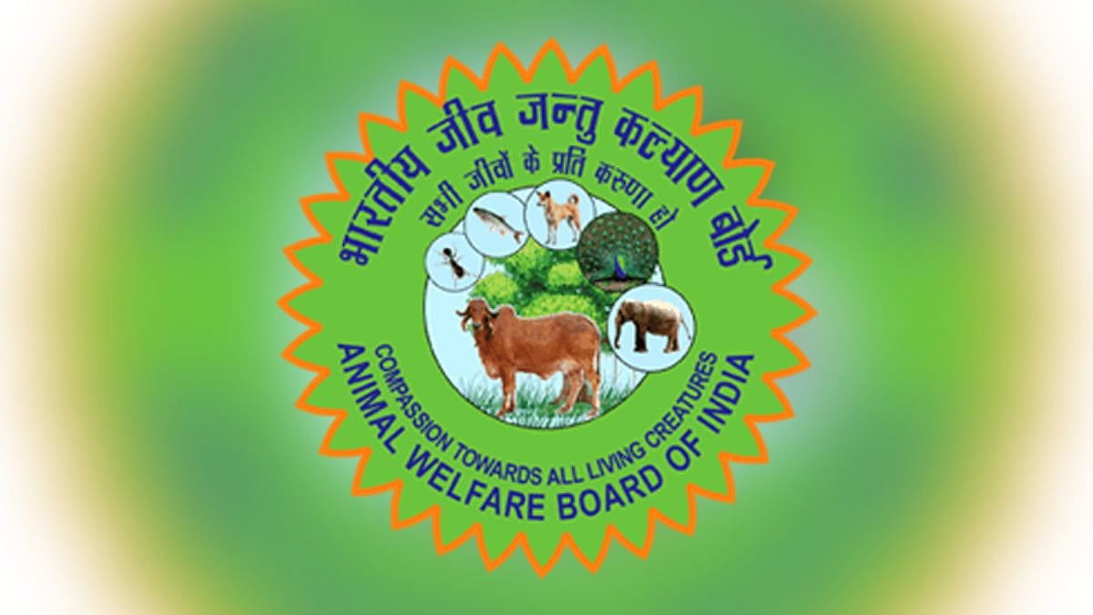 Activist Seeks NMMC Intervention Over Continued Confinement Of Sterilised Community Dogs From CBD Belapur