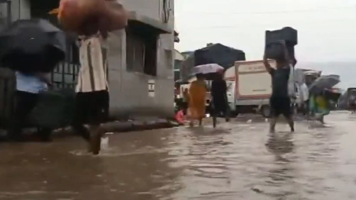 Mumbai Monsoon: IMD Issues Brief Red Alert Amid Heavy Overnight Rains; Transport Services Remain Normal | Video
