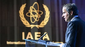 IAEA chief signals inspectors will visit Iran nuclear enrichment sites under US-Iran interim deal