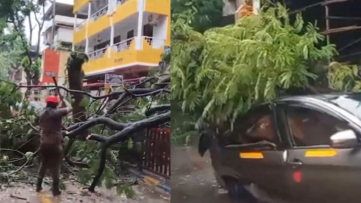 Monsoon Miseries: Trees Collapse In Dadar, Thane, Disrupting Travel