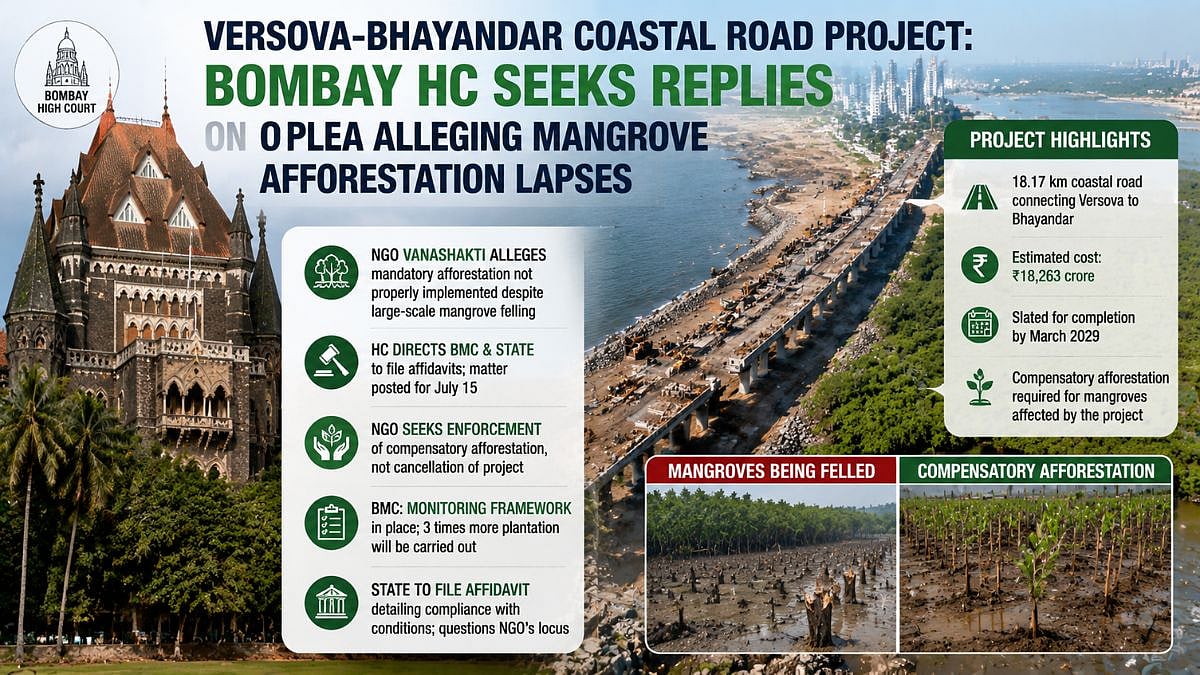 Versova-Bhayandar Coastal Road Project: Bombay HC Seeks Replies On Plea Alleging Mangrove Afforestation Lapses