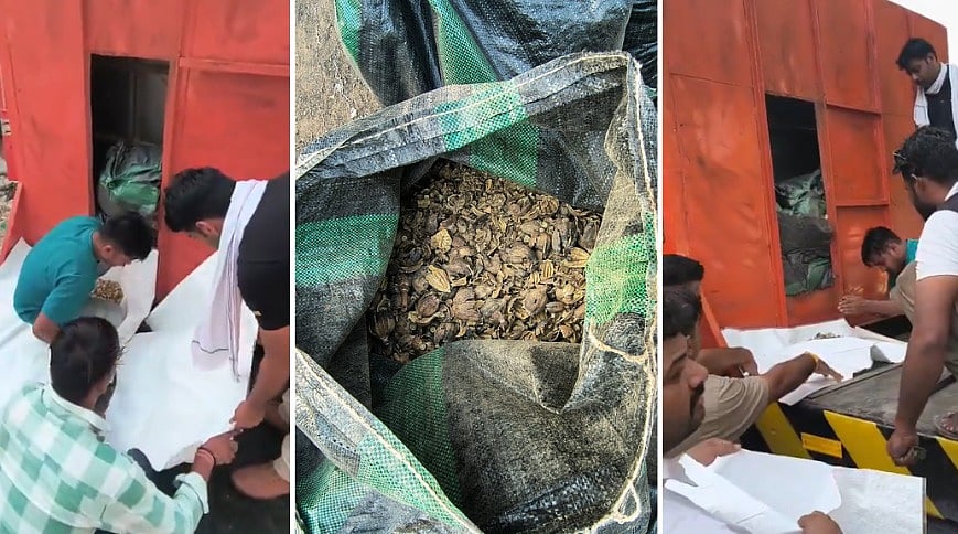 Police Bust Illegal MD Drug Factory In MP's Mandsaur; Drugs Worth ₹14 Crore Seized, Two Arrested-- VIDEO