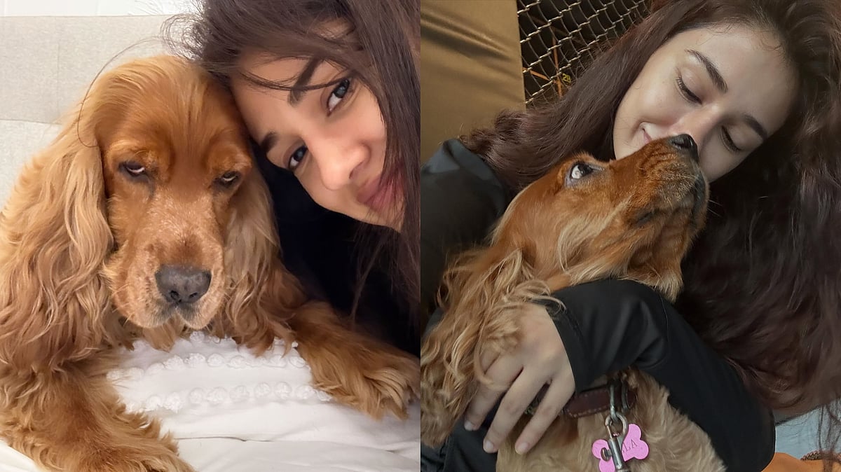 'You Taught Me What Love Is': Disha Patani Mourns Loss Of Pet Dog Bella, Pens Emotional Note