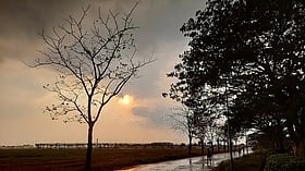 Madhya Pradesh June 24, 2026, Weather Update: Monsoon Likely To Enter State In 3 Days; Rain Alert Issued For Over 40 Districts