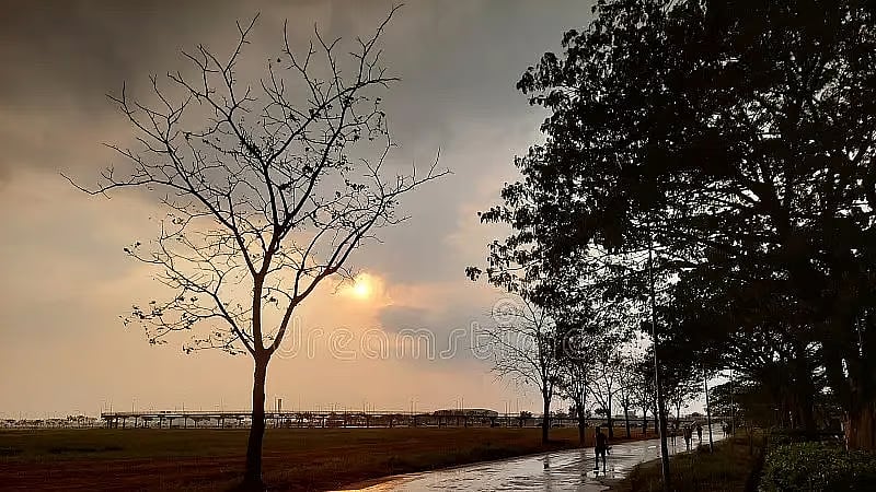 Madhya Pradesh June 24, 2026, Weather Update: Monsoon Likely To Enter State In 3 Days; Rain Alert Issued For Over 40 Districts