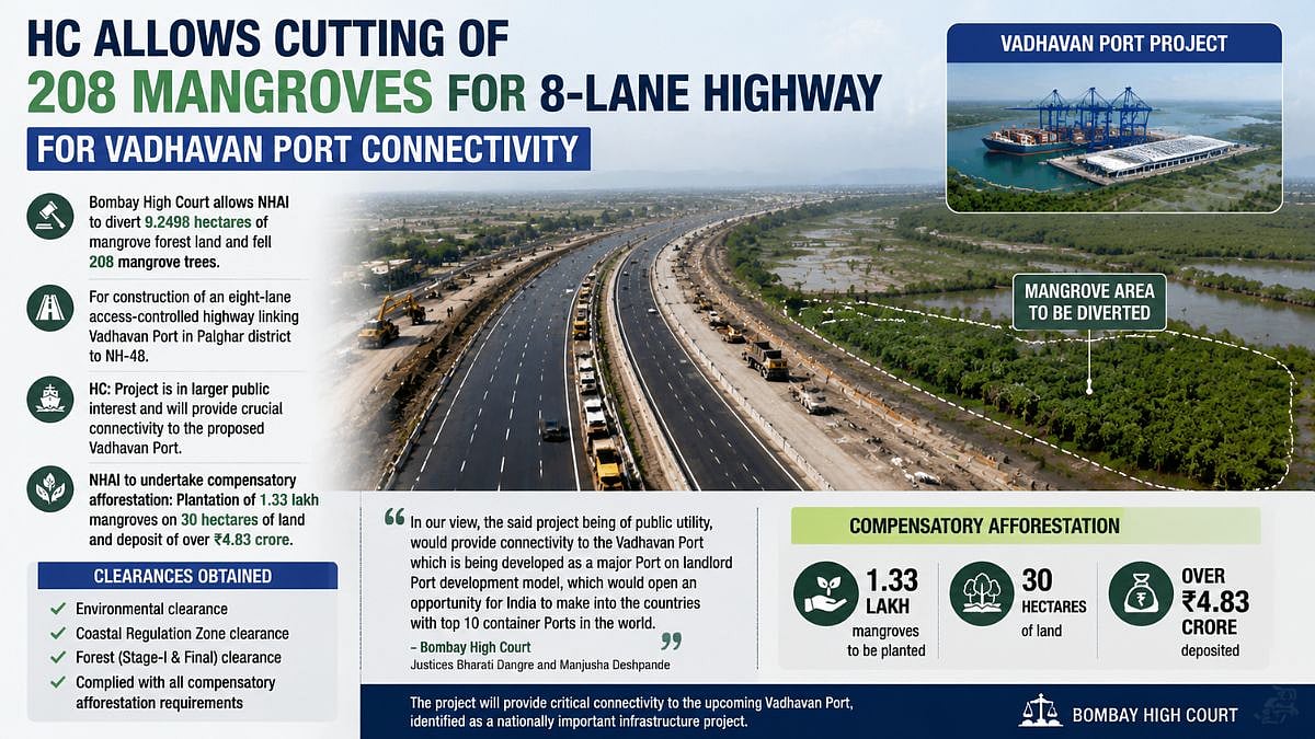 Vadhavan Port Connectivity Project: Bombay HC Allows Felling Of 208 Mangroves For 8-Lane Highway Link To NH-48
