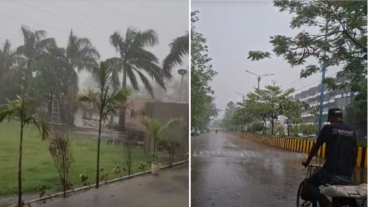 Monsoon Finally Hits Madhya Pradesh! Indore, Bhopal Residents Enjoy Downpour & Brace For Waterlogged Roads -- VIDEO