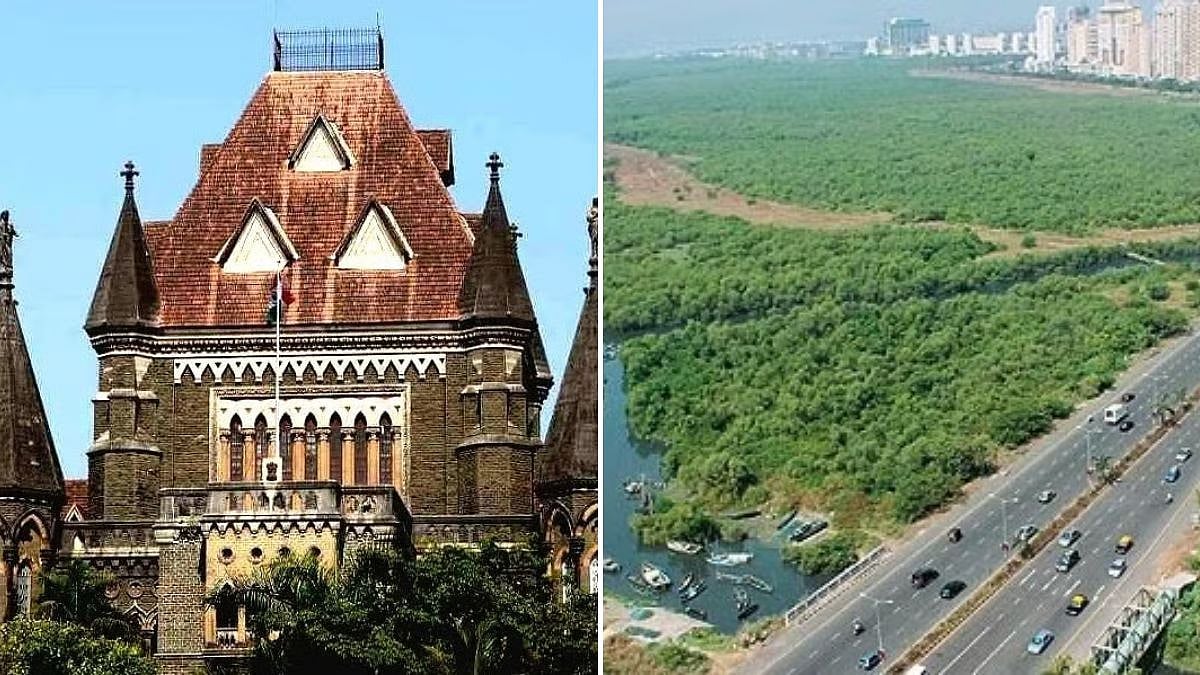 Bombay High Court Clears Mangrove Removal, Vadhvan Port Project Crosses Major Implementation Hurdle