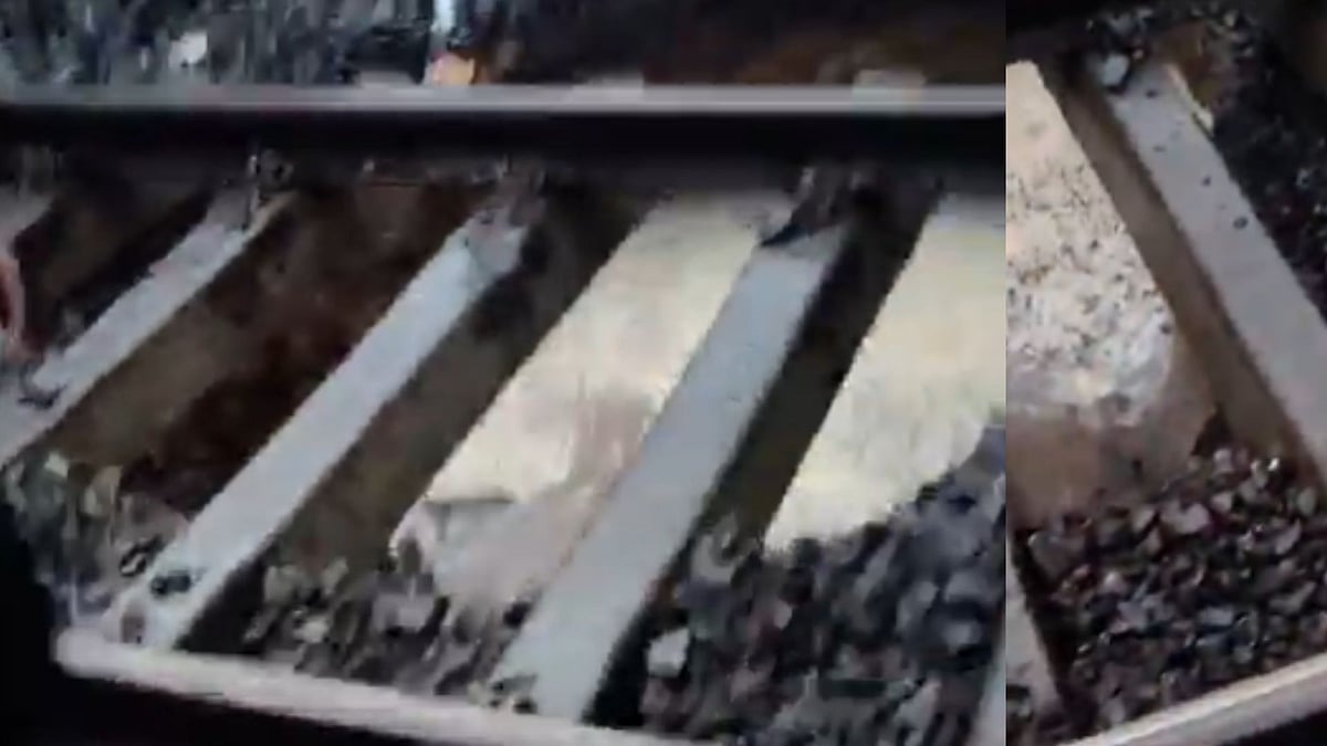 Watch: Washed-Out Rail Track Disrupts Mumbai's Trans-Harbour Line Between Turbhe And Kopar Khairane; Services Restored