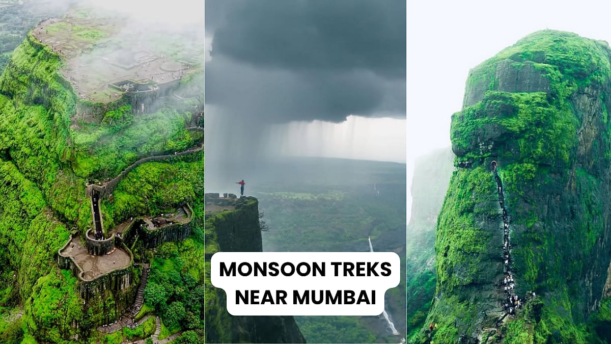 Early-Monsoon Treks To Do Near Mumbai: From Kalsubai, Lohgad To Karnala Bird Sanctuary; Check Out...