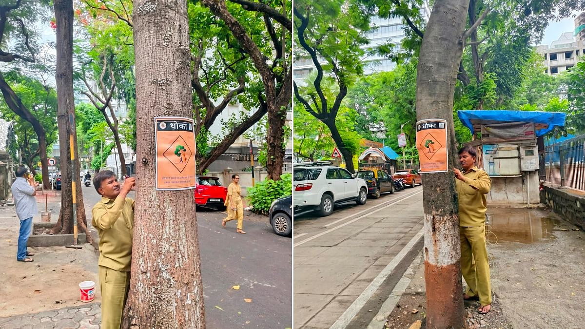 Mumbai: BMC Urges Residents To Stay Away From Trees During Heavy Rain After 113 Tree Fall Incidents