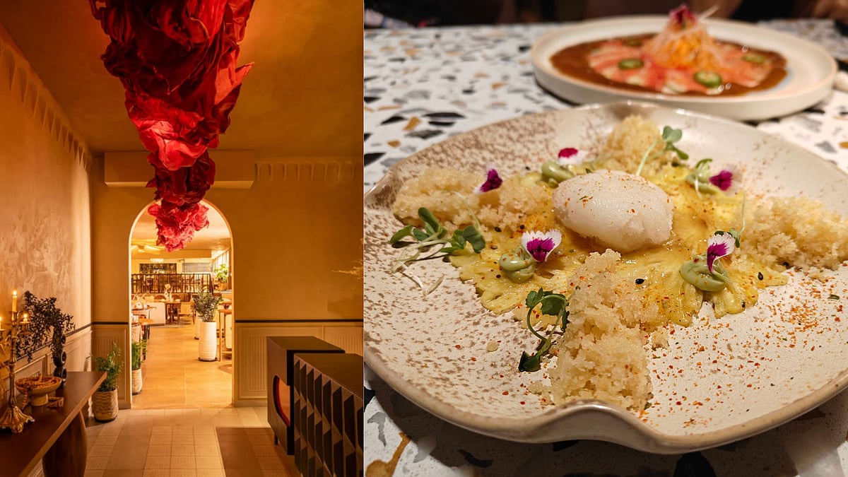 Food Review: Inside House of Akina, Where Comfort Meets Culinary Travel